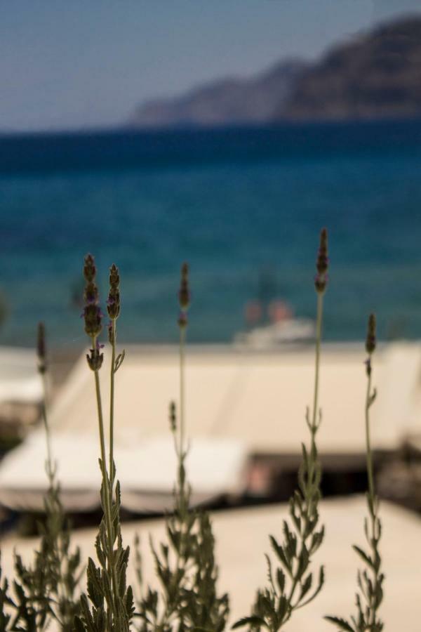 Appartement Sun & Sea à Mochlos Extérieur photo
